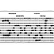 Illustration for article titled If Data Was Stored on Punch Cards, How Much Space Would Google Need?